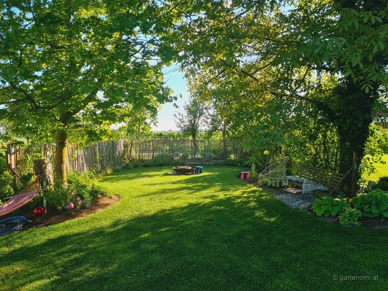 Grüner Garten im Sonnenlicht